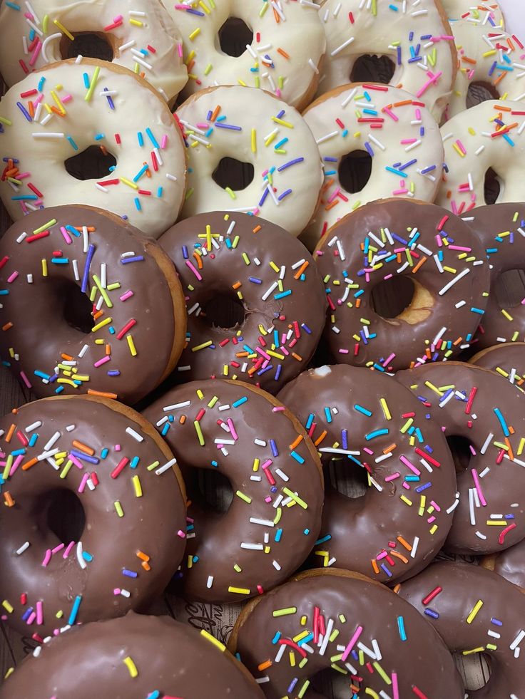 Donut Signature 10k Kitten Cake
